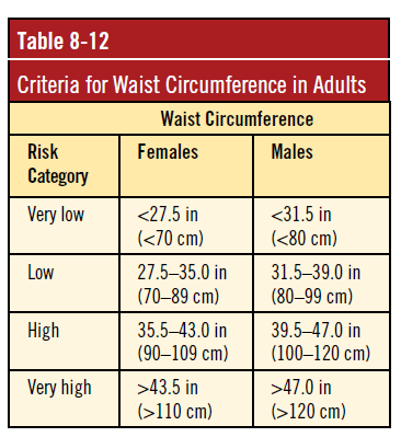 waist circumference guidelines